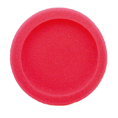 Sponge Frisbee