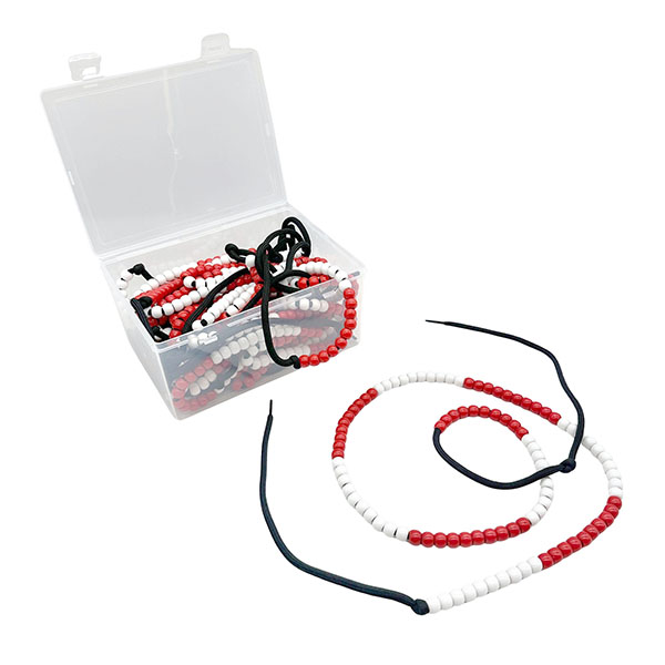 Montessori 100-Bead Chain Set