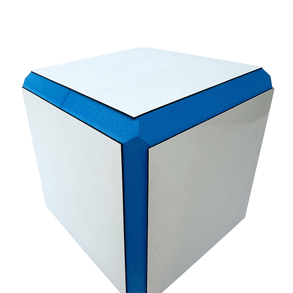 2Pcs 100mm Eva Dice With Magnetic White Board