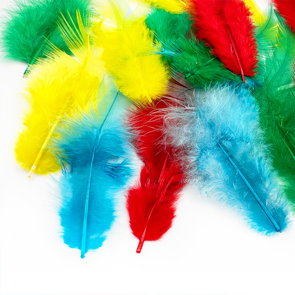 12pcs 6cm Long Feathers For Crafts