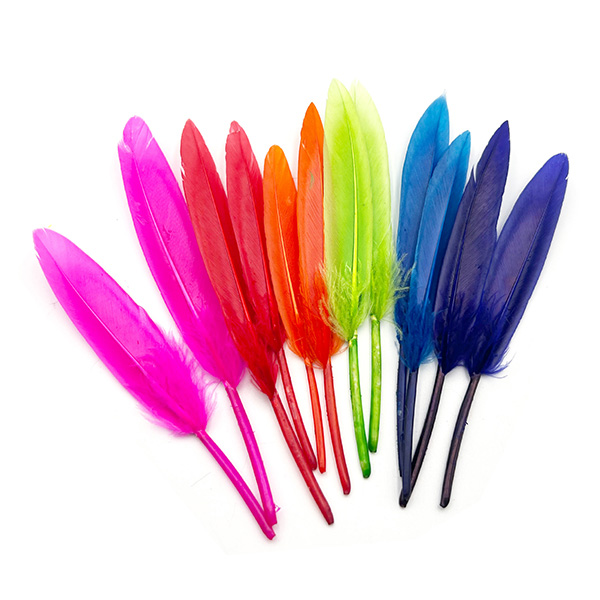 Craft Feathers in Basic Craft Supplies