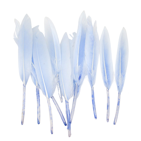 12pcs 8cm Craft Feathers Set