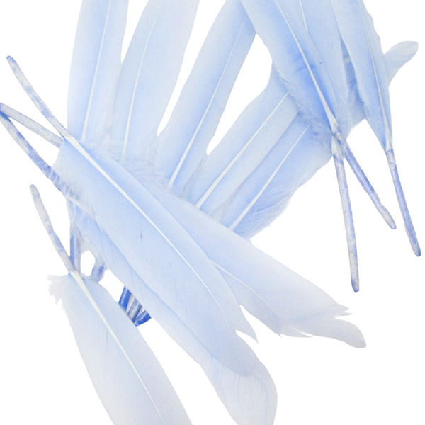 12pcs 8cm Craft Feathers Set