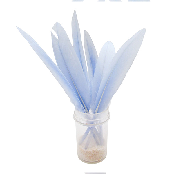 12pcs 8cm Craft Feathers Set
