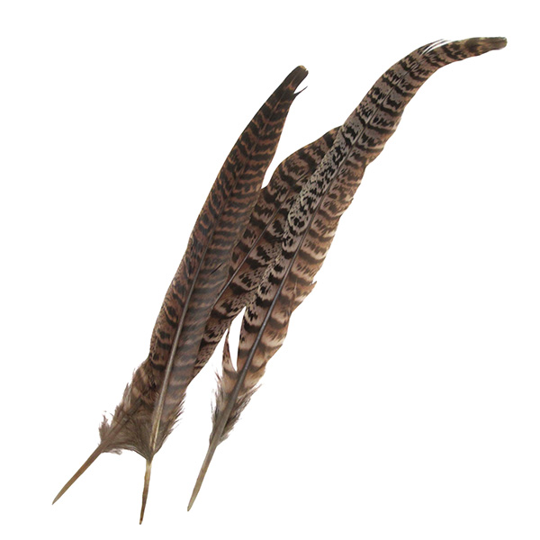 3pcs 18cm Craft Feathers Set