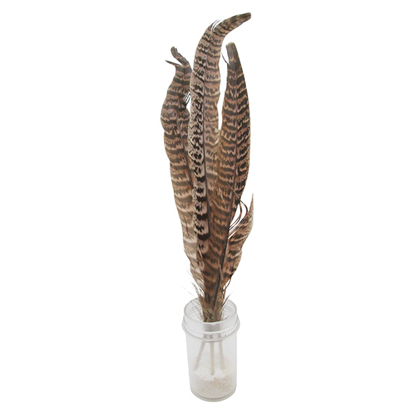 3pcs 18cm Craft Feathers Set