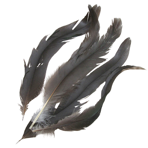 6pcs 15cm Craft Feathers Set