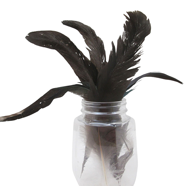 6pcs 15cm Craft Feathers Set