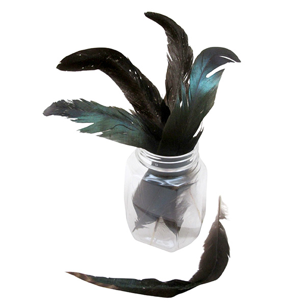 6pcs 15cm Craft Feathers Set