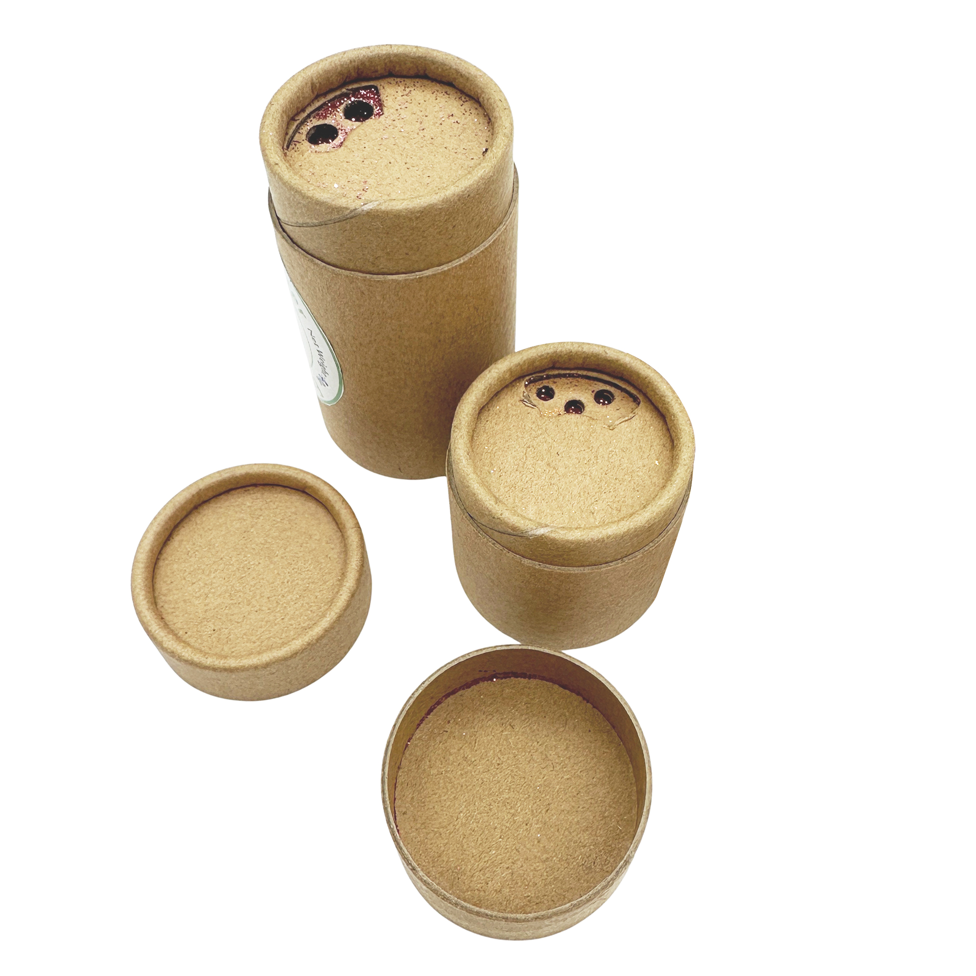 Cellulose Bio-Glitter with Paper Tube Shaker