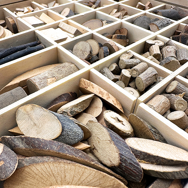 Natural Wood Craft Set – 28 Types Mixed Hardwood for Art & Education | Bulk Available