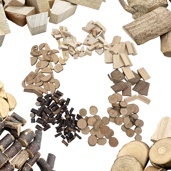 Natural Wood Craft Set – 28 Types Mixed Hardwood for Art & Education | Bulk Available