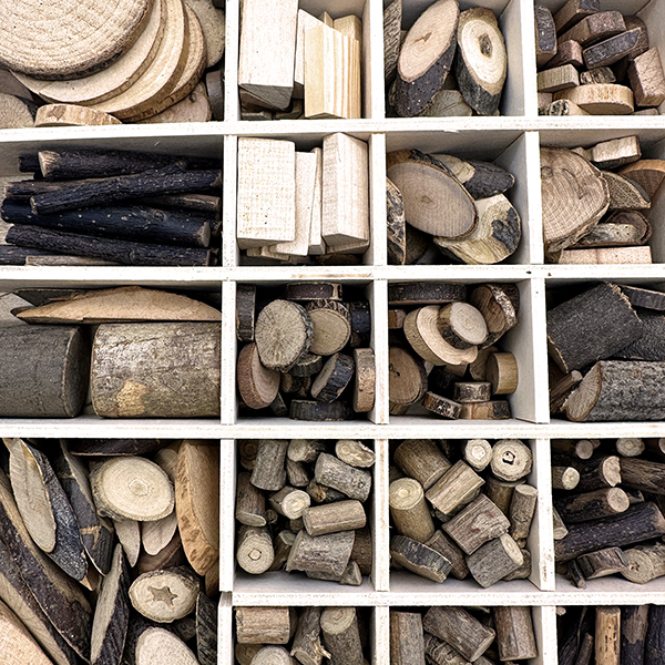 Natural Wood Craft Set – 28 Types Mixed Hardwood for Art & Education | Bulk Available