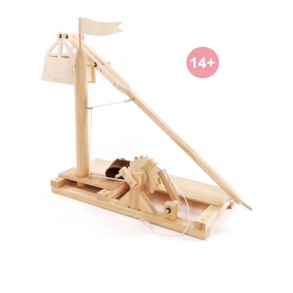 DIY Da Vinci Trebuchet Set