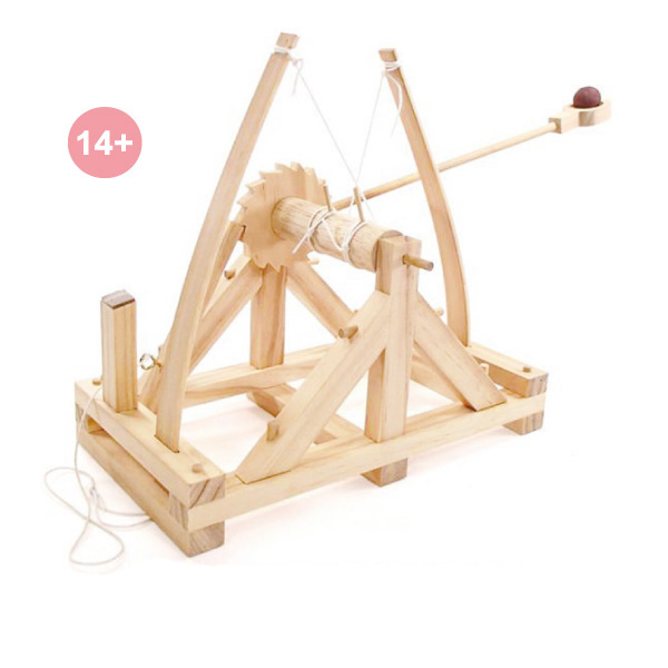 Diy Da Vinci Catapult Set