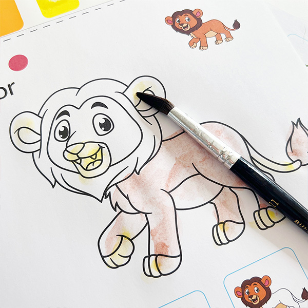 Animal Water Colouring Book for kid
