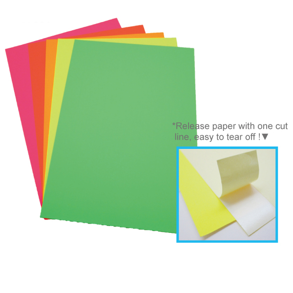 8 Pcs Neon Color Label Sheet Set