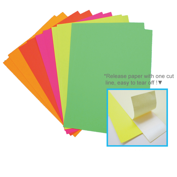 10 Pcs Neon Color Label Sheet Set