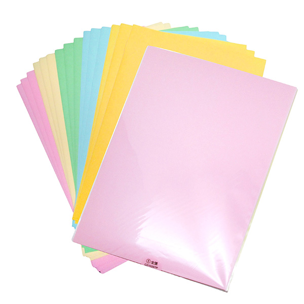 A4 Printable Pastel Label (15Pcs, 5 Color)
