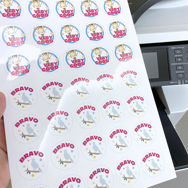 A4 Printable PET Clear Labels (5Pcs)