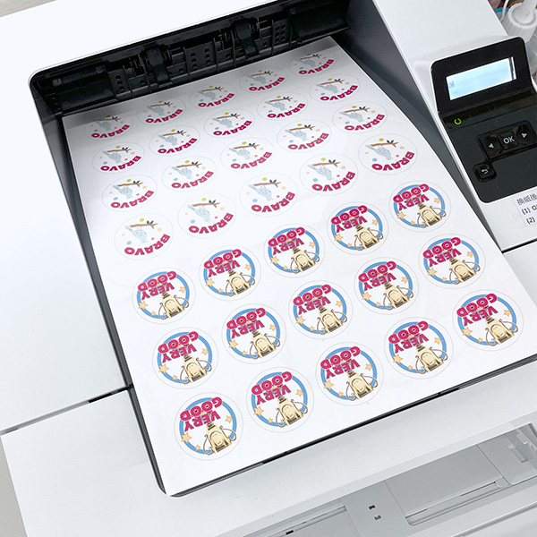A4 Printable PET Clear Labels (5Pcs)