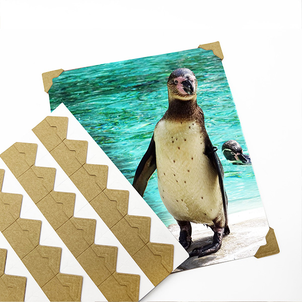 Scrapbook Picture Corners Stickers