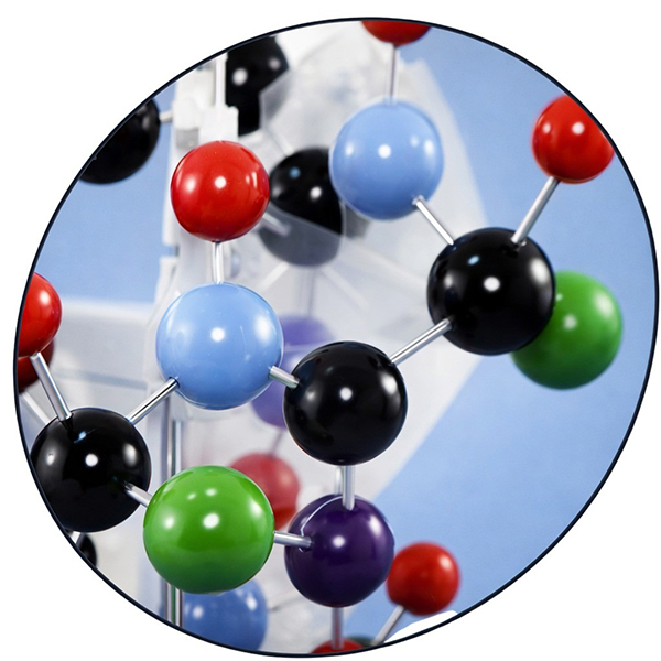 68.5cm Protein Structure Model Alpha Helix Molecular Structure Model for School Biology Chemistry Te