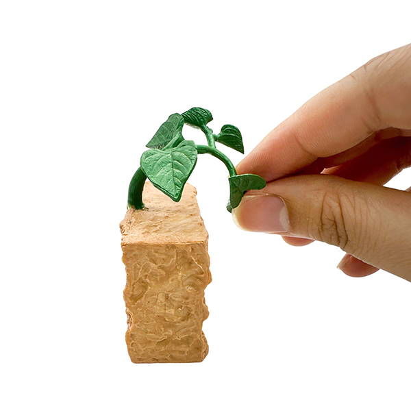 4 Pcs Plant Life Cycle Model Set