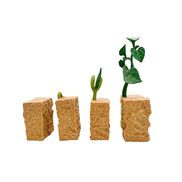 4 Pcs Plant Life Cycle Model Set