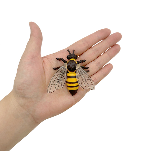 4 Pcs Life Cycle of a Honey Bee Model Set
