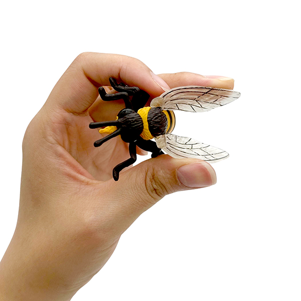 4 Pcs Life Cycle of a Honey Bee Model Set