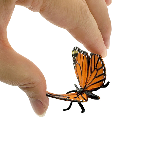 4 Pcs Butterfly Life Cycle Model Set