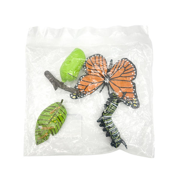 4 Pcs Butterfly Life Cycle Model Set